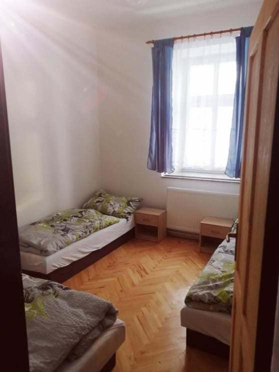 Penzion U Trojice Cervena Voda Ngoại thất bức ảnh